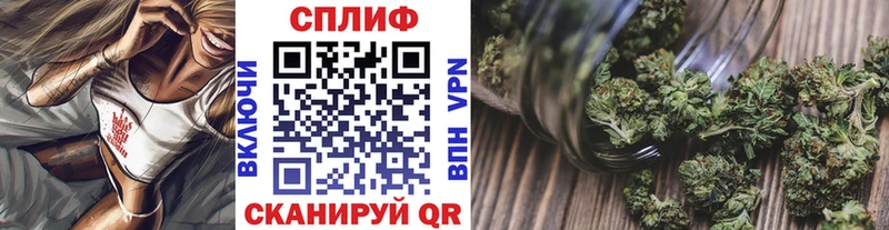 Бошки марихуана гибрид  Сенгилей 